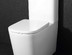 Унитаз моноблок BelBagno Albana 