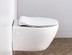 Унитаз подвесной BelBagno Prospero
