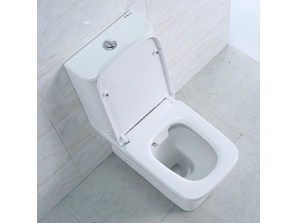 Унитаз моноблок BelBagno Monica