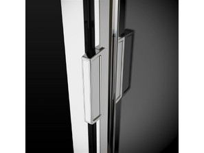 Душевая дверь Radaway Evo DW 105
