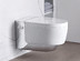 Подвесной унитаз-биде Geberit 146.214.21.1 AquaClean Mera Comfort