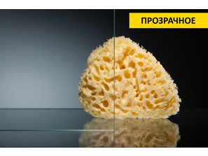 Душевая дверь Vegas Glass ZP (knob) 0135