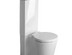 Унитаз моноблок DURAVIT Starck 1 0233090064